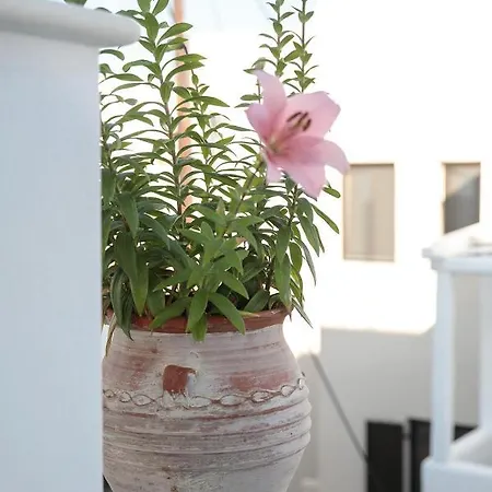 Apartment Green Loft In Naxos Chora